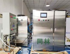 100g/h實驗用臭氧發生器安裝現場